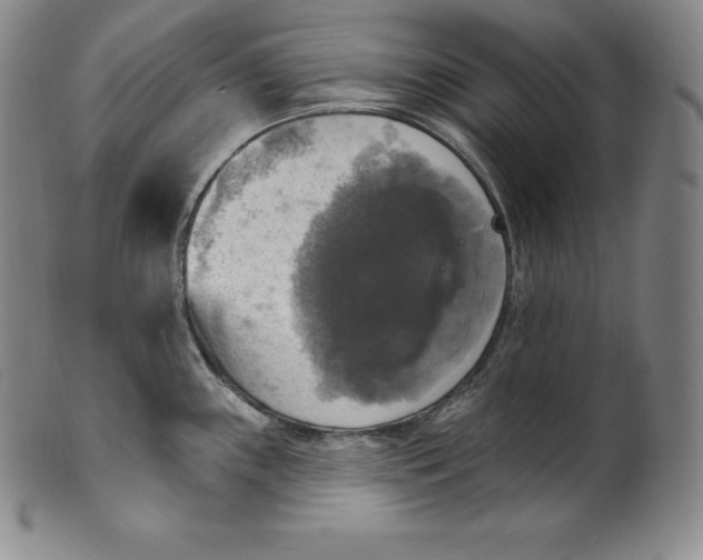 X0000100501243200806271252