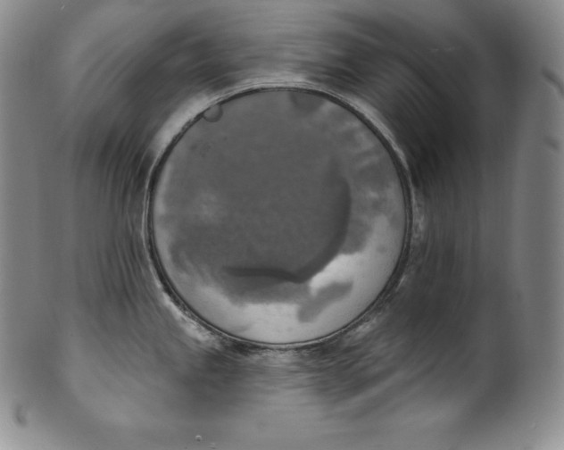 X0000100501245200806271252