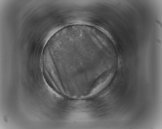 X0000100501247200806271252