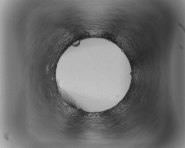 X0000100501249200806271251