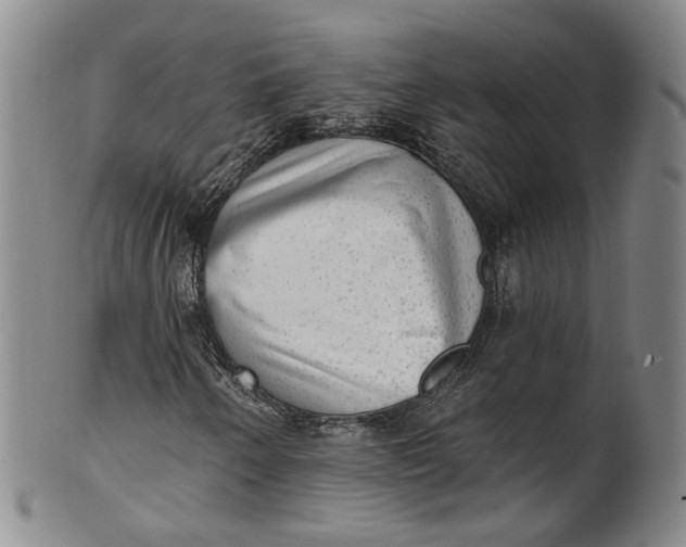 X0000100501250200806271251