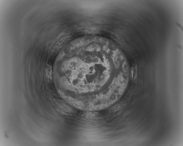 X0000100501251200806271251