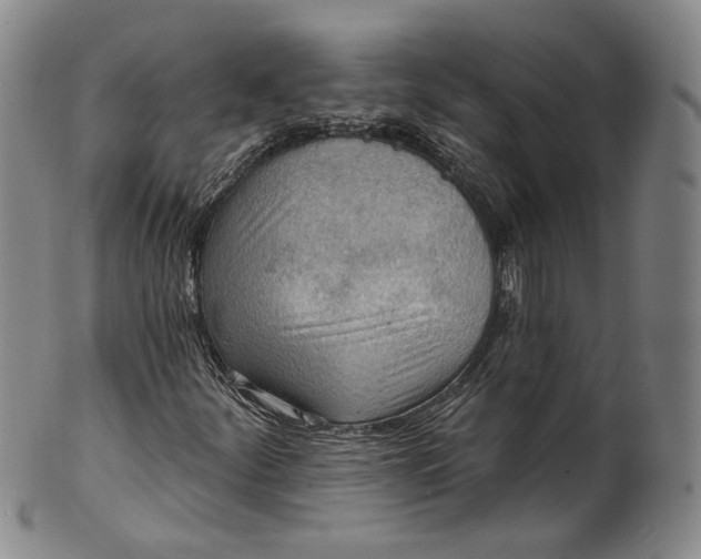 X0000100501252200806271251