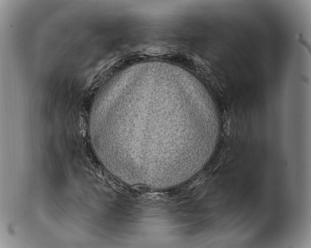 X0000100501253200806271251