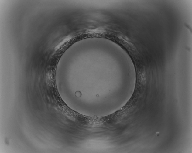 X0000100501254200806271251