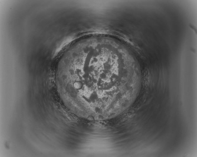 X0000100501255200806271251