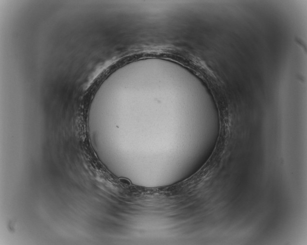 X0000100501256200806271251