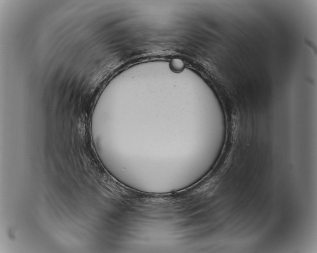 X0000100501257200806271251