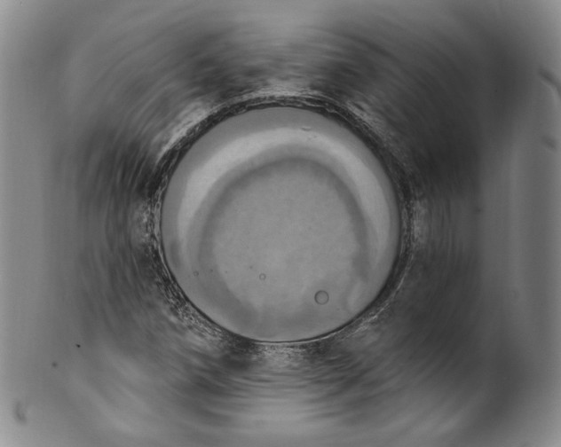 X0000100501258200806271251