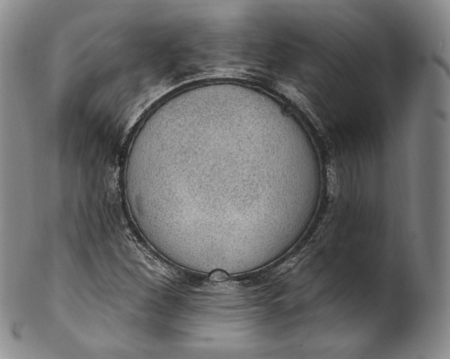 X0000100501260200806271251