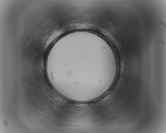 X0000100501261200806271251