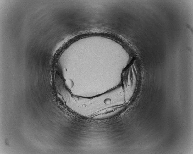 X0000100501262200806271251