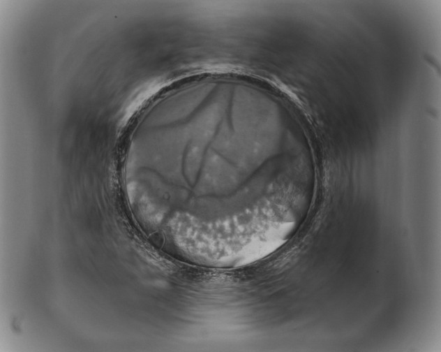 X0000100501263200806271251