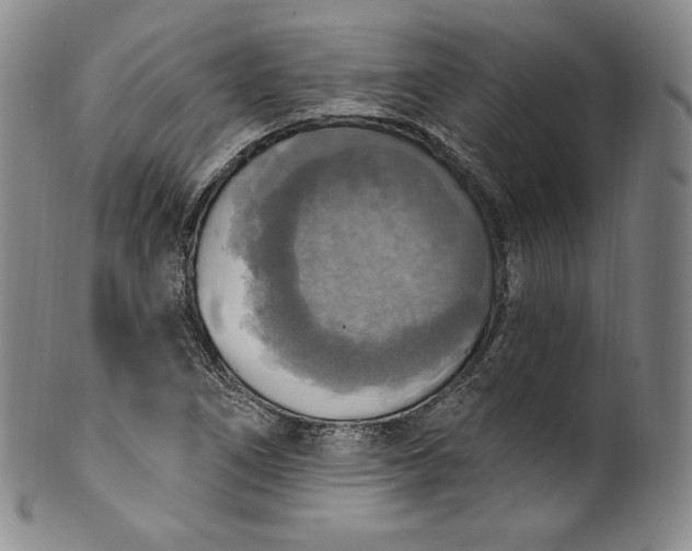 X0000100501266200806271251