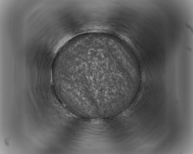 X0000100501267200806271251