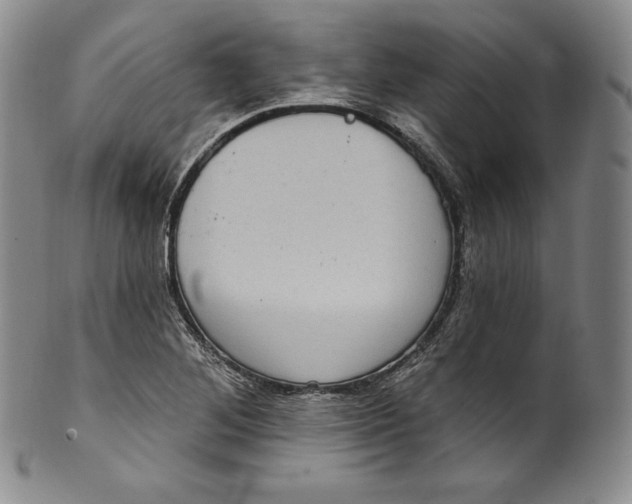 X0000100501268200806271251