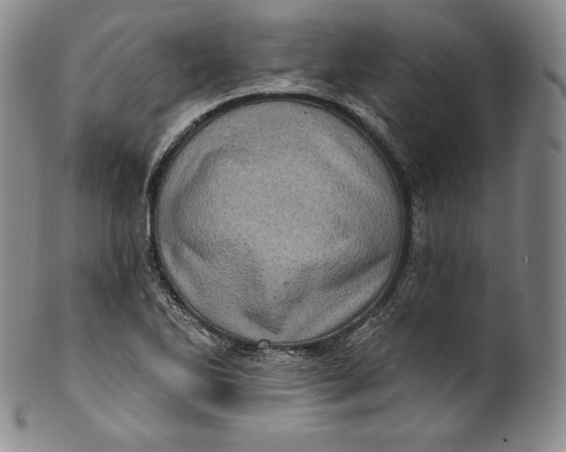 X0000100501270200806271251