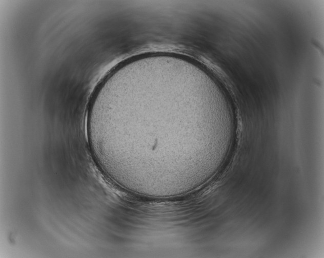 X0000100501272200806271251