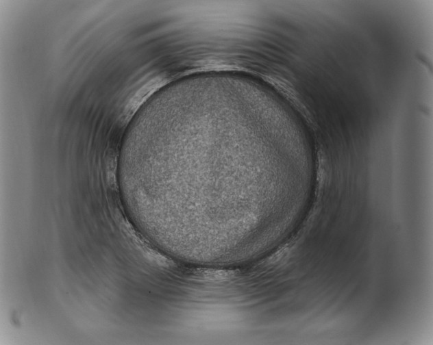 X0000100501273200806271251