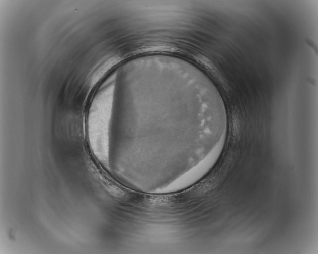 X0000100501274200806271251