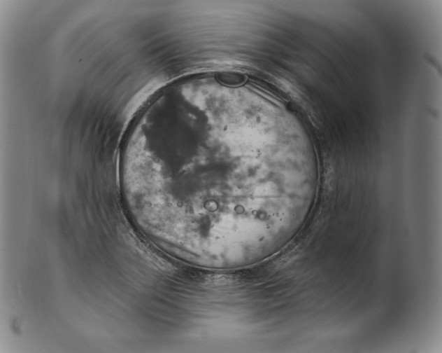 X0000100501275200806271251