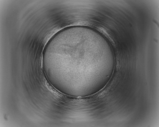 X0000100501276200806271251