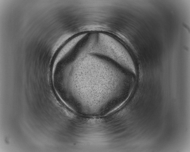 X0000100501277200806271251