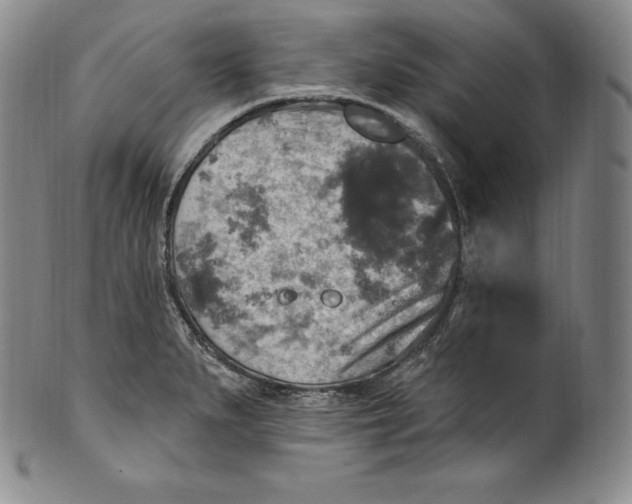 X0000100501279200806271251