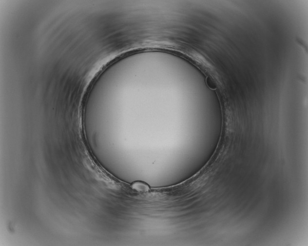 X0000100501280200806271251