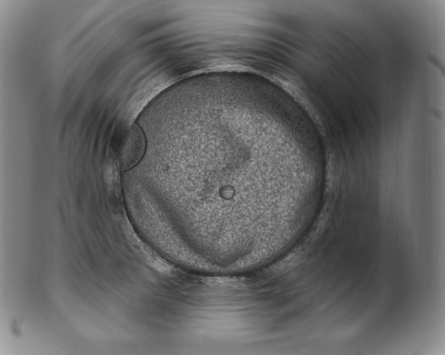 X0000100501281200806271251