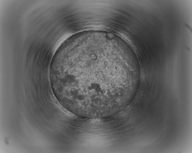 X0000100501283200806271251