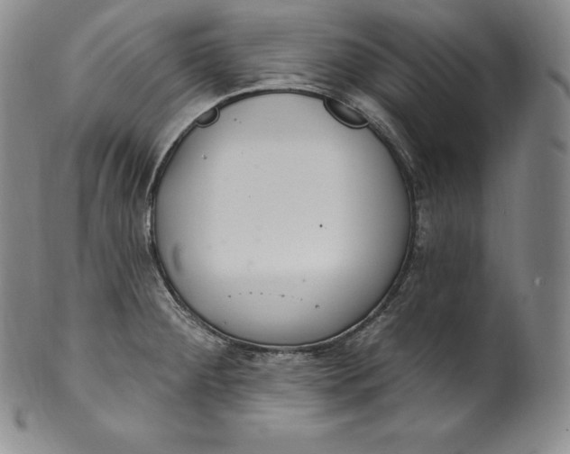 X0000100501284200806271251