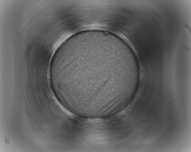 X0000100501285200806271251