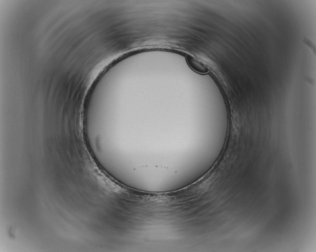 X0000100501288200806271251