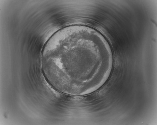 X0000100501290200806271251