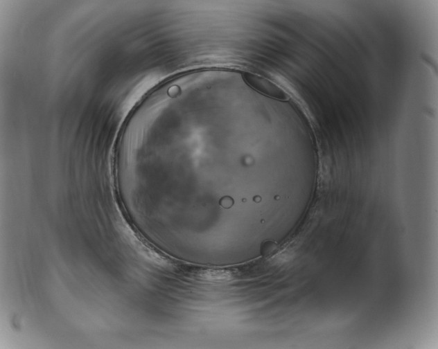 X0000100501291200806271251