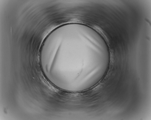 X0000100501292200806271251