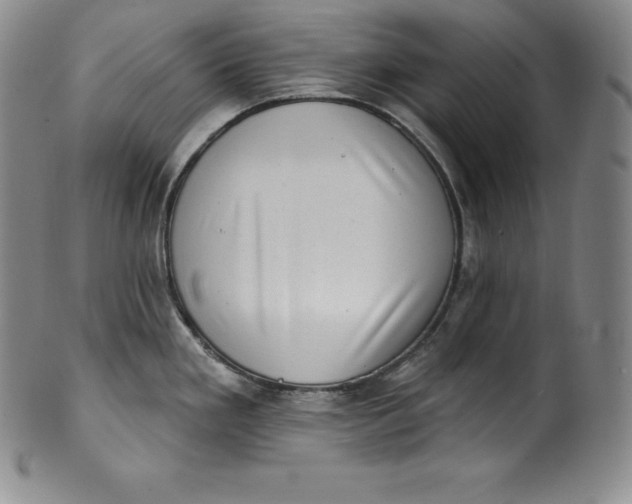 X0000100501293200806271251