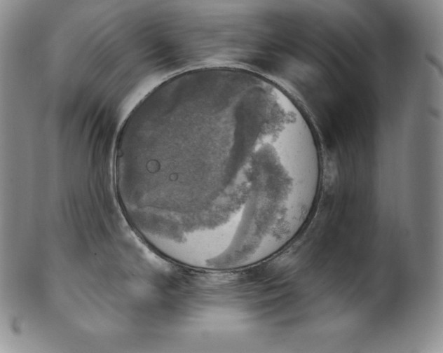 X0000100501294200806271251