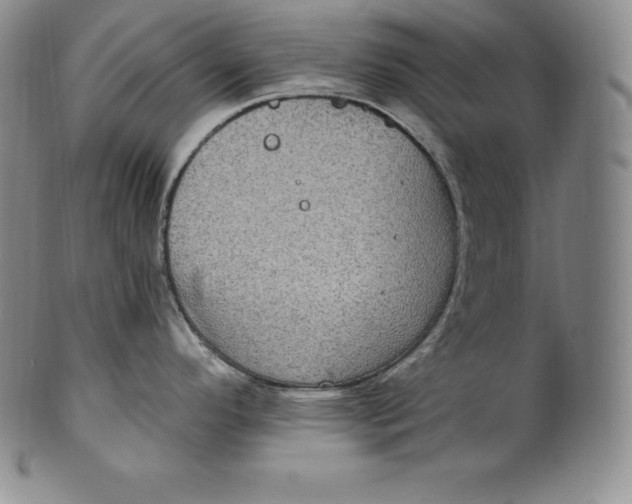 X0000100501296200806271251