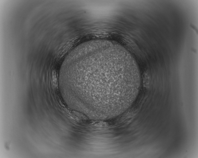 X0000100501298200806271250