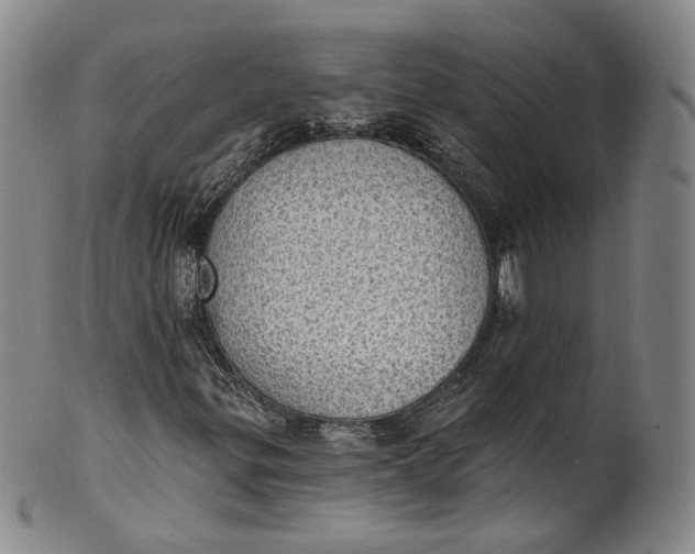 X0000100501299200806271250