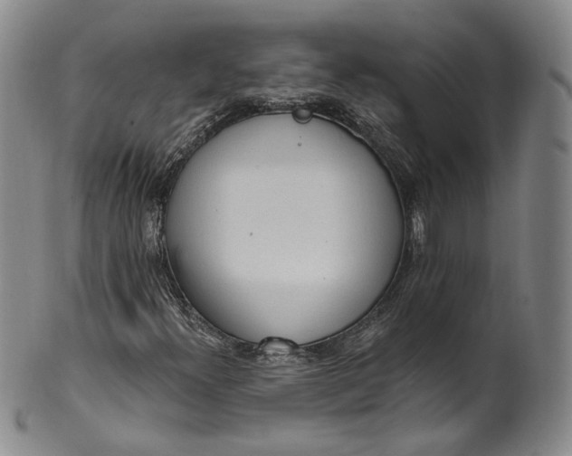 X0000100501300200806271250