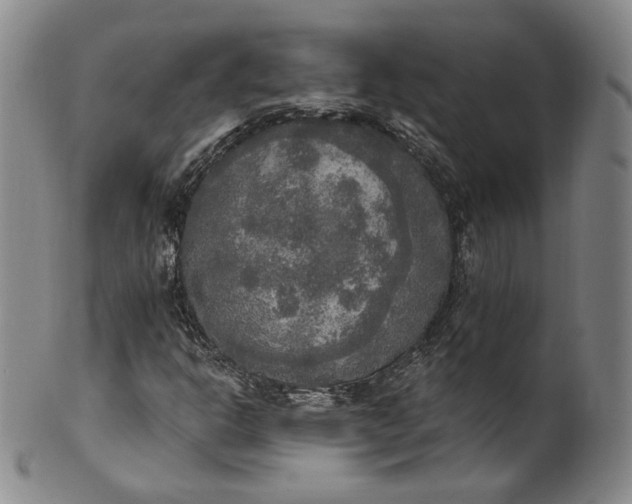 X0000100501302200806271250