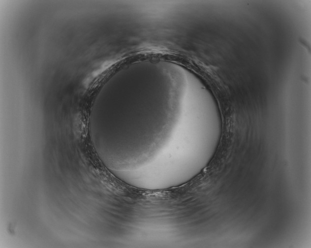 X0000100501303200806271250