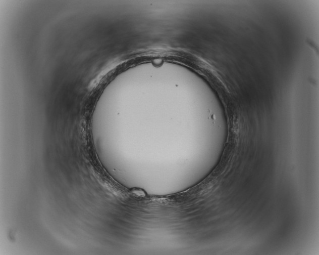 X0000100501304200806271250