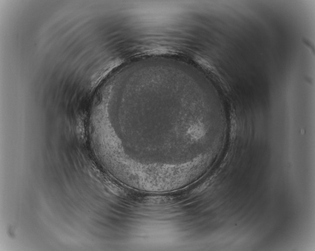 X0000100501305200806271250