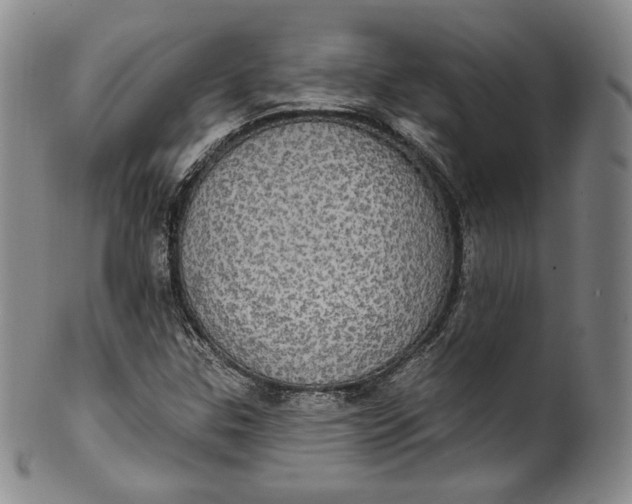 X0000100501307200806271250