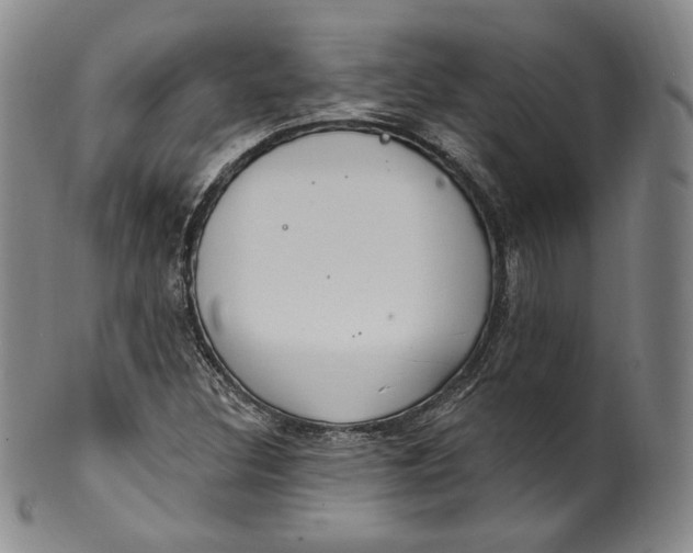 X0000100501308200806271250