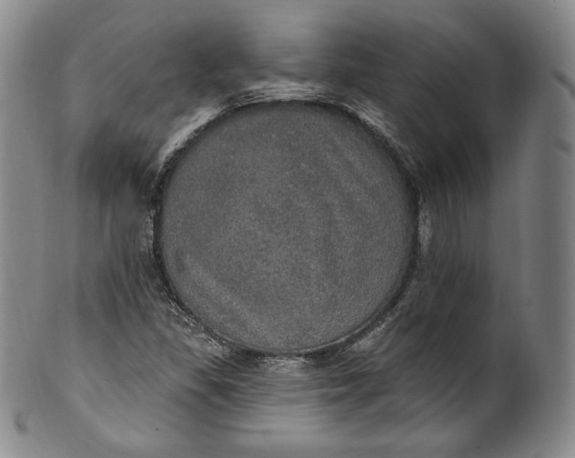 X0000100501309200806271250